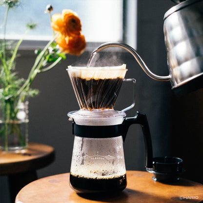 Hario Pegasus 02 Dripper – Şeffaf Plastik